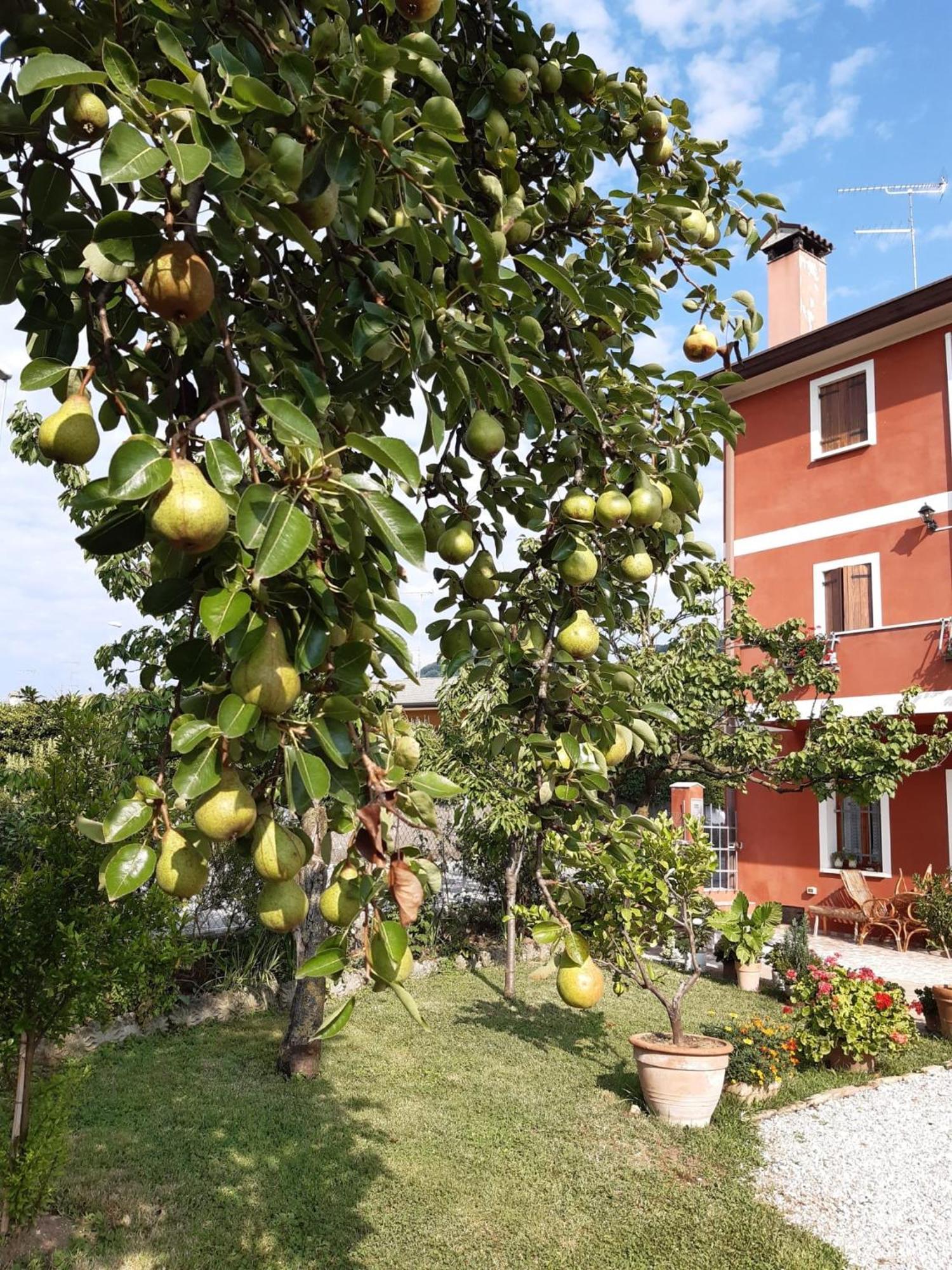 B&B Casa Del Conte Soligo Buitenkant foto